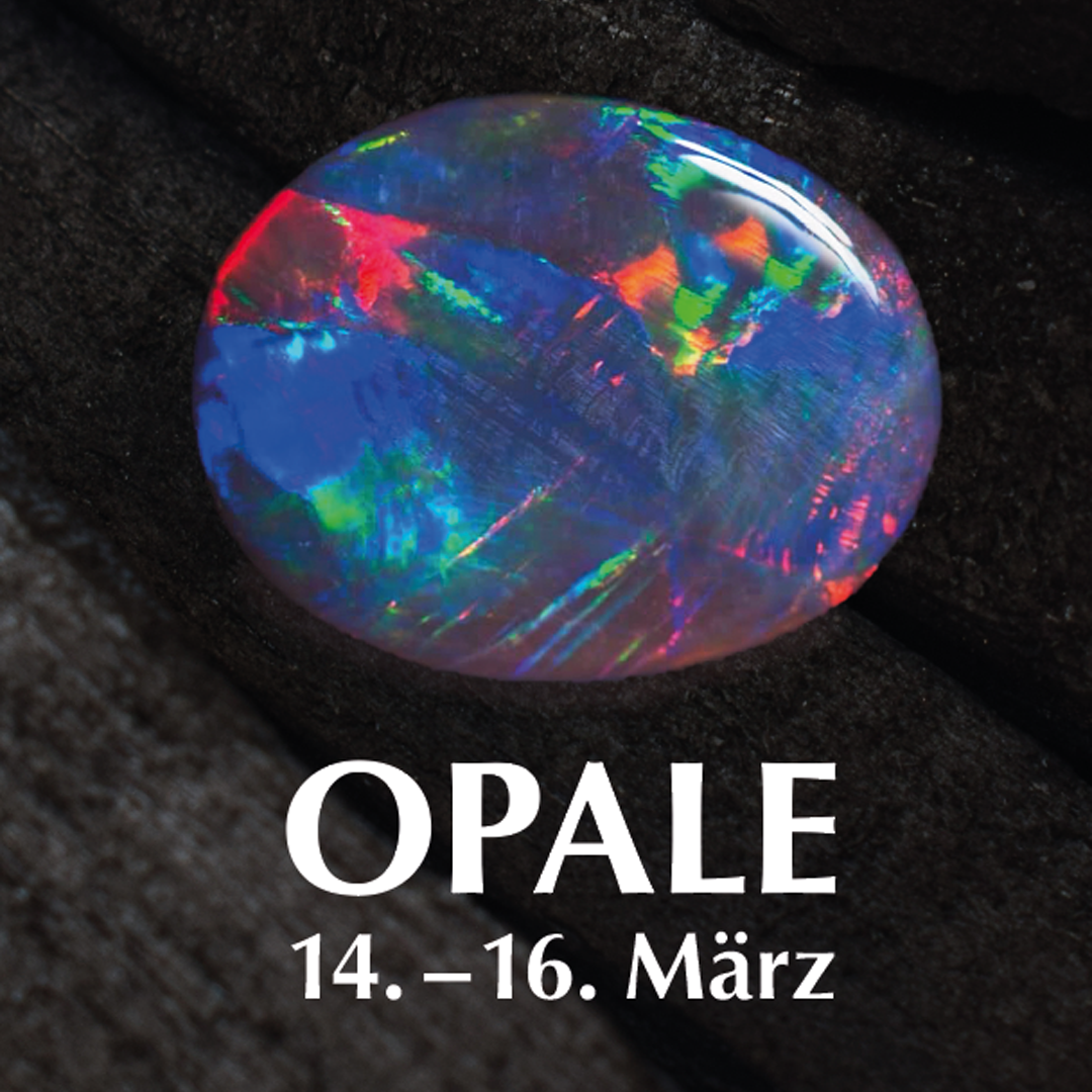 Opale Blog Header